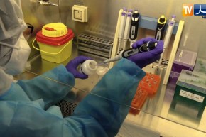 2020.. كورونا يسيطر على المشهد الصحي في الجزائر