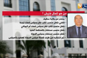 من هو كمال فنيش رئيس المجلس الدستوري الجديد ؟