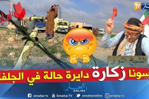 طالع هابط: من ينقذ الجلفة المسكينة من المعاناة.. شاهد