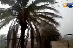 رياح قوية مصحوبة بأمطار تضرب الضاية بن صحوة بغرداية