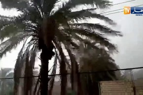 رياح قوية مصحوبة بأمطار تضرب الضاية بن صحوة بغرداية
