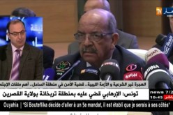 الهجرة غير الشرعية و الأزمة الليبية.. قضية الأمن في منطقة الساحل