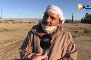 بسكرة: إنخفاض في أسعار الخضر والفلاحون يدقون ناقوس الخطر