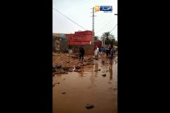 غرداية: الأمطار والرياح تتسبب في تساقط عدد من أشجار النخيل والجدران وتخلف هلعا كبيرا وسط السكان