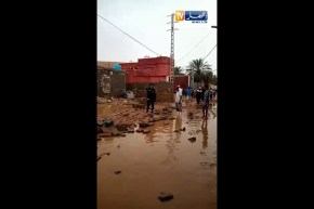 غرداية: الأمطار والرياح تتسبب في تساقط عدد من أشجار النخيل والجدران وتخلف هلعا كبيرا وسط السكان