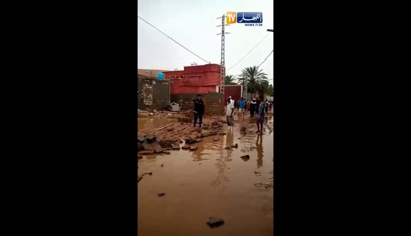 غرداية: الأمطار والرياح تتسبب في تساقط عدد من أشجار النخيل والجدران وتخلف هلعا كبيرا وسط السكان
