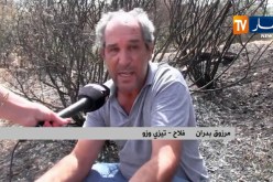 تيزي وزو/ غياب ثقافة التأمين الفلاحي يضاعف حجم خسائر الفلاحين