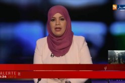 خبير أمني: المؤسسة العسكرية منضبطة ولو كان في الطائرة مشكل لما رخص لها بالتحليق