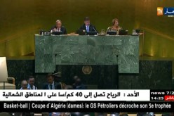 فلسطين المحتلة: إجتماع طارئ للجمعية العامة للأمم المتحدة حول غزة الأربعاء المقبل