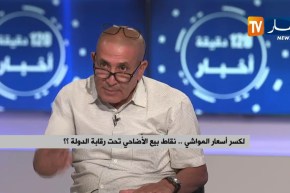 نقاط بيع أضاحي العيد.. هل تكبح أسعار المواشي