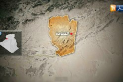 حجز أكثر من 8100 قارورة من المشروبات الكحولية داخل شاحنة وسيارة نفعية بولاية النعامة