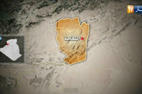 حجز أكثر من 8100 قارورة من المشروبات الكحولية داخل شاحنة وسيارة نفعية بولاية النعامة