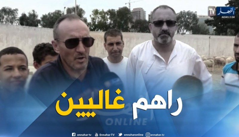 تجارة: نقاط معتمدة لبيع الأضاحي..ماذا عن بورصة الأسعار