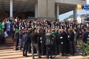 العاصمة/ المحامون في وقفة احتجاجية بمجلس قضاء الجزائر