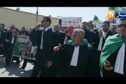 المسيلة : محامو الولاية في مسيرة للمطالبة برحيل العصابة ومحاسبة الفاسدين