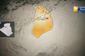 البيض: الدرك الوطني يوقف شاحنة تحمل أبقار من مالي والسودان لبيعها في أسواق الجزائر العاصمة