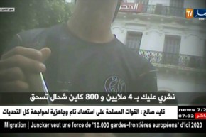 مالية: إلتهاب سعر اليورو و الدولار ينعشان الريال السعودي بسوق السكوار