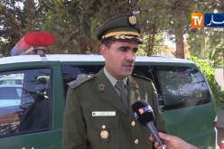 الدرك الوطني بالبيض : ” توقيف شاحنة تحمل أبقار قادمة من مالي والنيجر !”