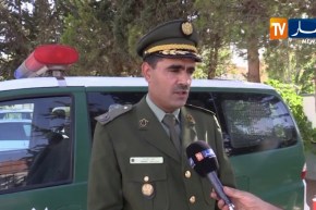 الدرك الوطني بالبيض : ” توقيف شاحنة تحمل أبقار قادمة من مالي والنيجر !”