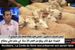 بلال وحديب: السماسرة هم السبب الرئيسي في إرتفاع أسعار المواشي