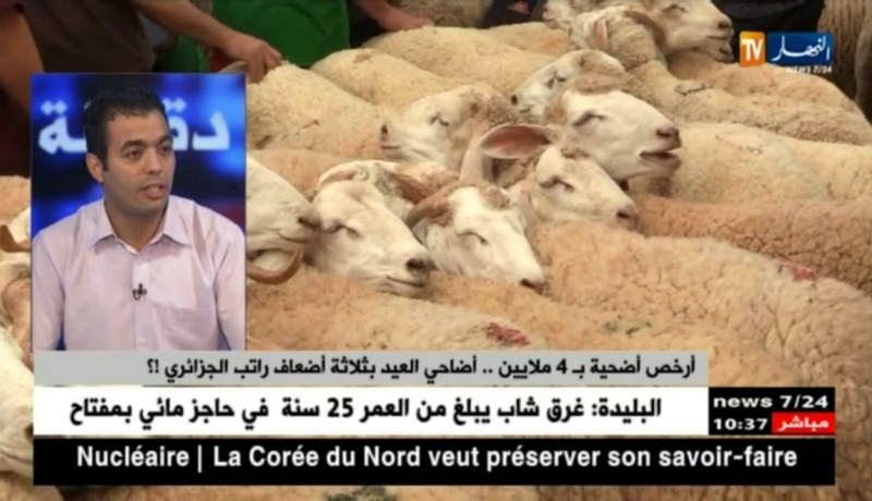 بلال وحديب: السماسرة هم السبب الرئيسي في إرتفاع أسعار المواشي