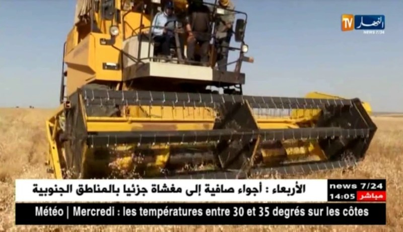 سيدي بلعباس/ “فاطمة” تلج المجال الفلاحي وتسجل تميزها