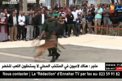 درك وطني: إختتام برنامج مشروع رخصة الراجلين لفائدة الأطفال المتمدرسين بالبليدة