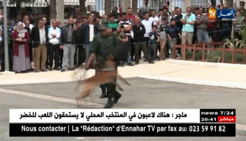 درك وطني: إختتام برنامج مشروع رخصة الراجلين لفائدة الأطفال المتمدرسين بالبليدة