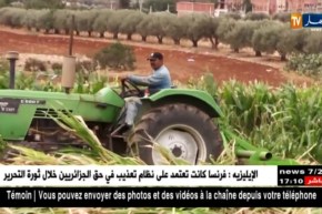 معسكر: إتلاف 8 هكتارات من المحاصيل الزراعية المسقية بالمياه القذرة