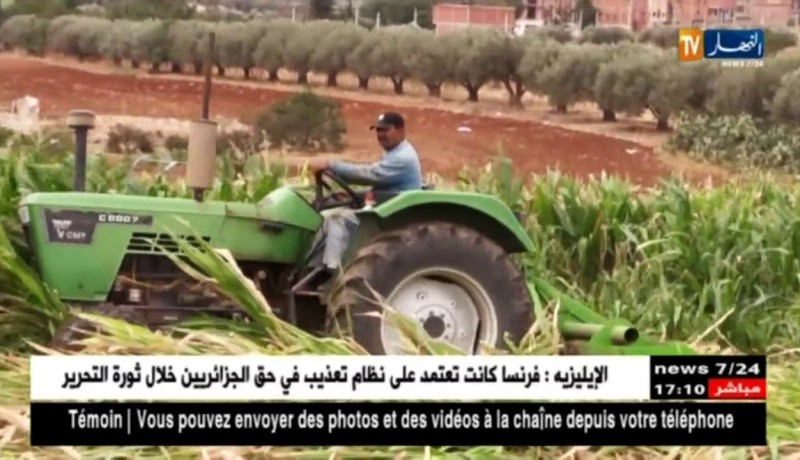 معسكر: إتلاف 8 هكتارات من المحاصيل الزراعية المسقية بالمياه القذرة