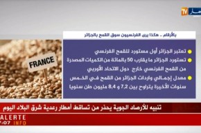 بالأرقام ..هكذا يرى الفرنسيون سوق القمح بالجزائر