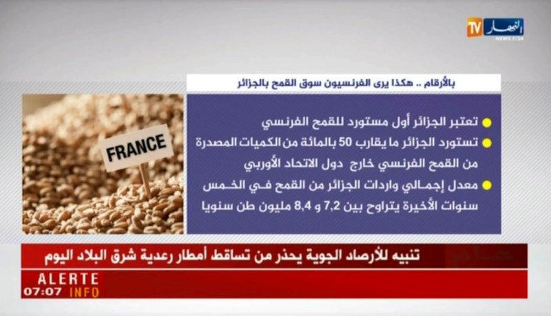 بالأرقام ..هكذا يرى الفرنسيون سوق القمح بالجزائر