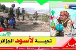 طالع هابط: حملة تشجير من أفراد الجيش الشعبي الوطني بأعالي جبال الشريعة