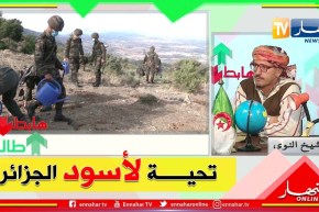 طالع هابط: حملة تشجير من أفراد الجيش الشعبي الوطني بأعالي جبال الشريعة