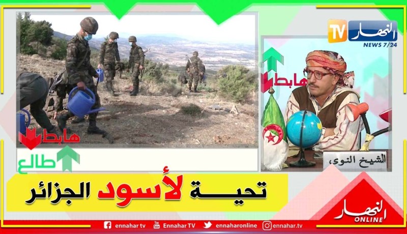 طالع هابط: حملة تشجير من أفراد الجيش الشعبي الوطني بأعالي جبال الشريعة