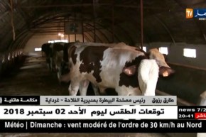 صحة: إكتشاف بؤرتين لداء الحمى القلاعية بغرداية