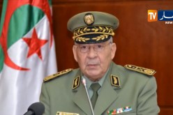 دفاع: الفريق أحمد قايد صالح في زيارة عمل وتفتيش بالناحية العسكرية الرابعة