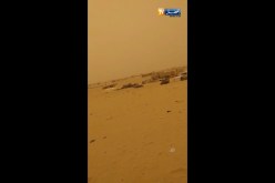 شاهد..هكذا يتم إستنزاف غذاء الجزائريين وأموالهم على الحدود بالجنوب
