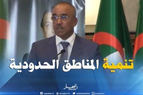 بدوي : ” قرار الرئيس بإحداث العشر ولايات المنتدبة الجنوبية يندرج ضمن إستراتجية تهيئة الإقليم”