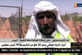 البيض: الغزال.. ثروة عالمية بحاجة إلى الحماية