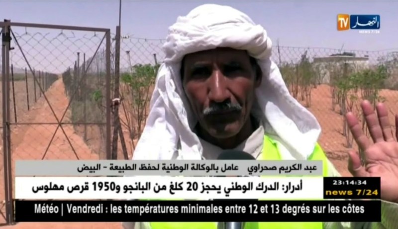 البيض: الغزال.. ثروة عالمية بحاجة إلى الحماية