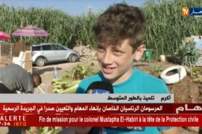 مجتمع: دخان شواء الذرة والسمان..هكذا يحترق شباب في سبيل لقمة العيش