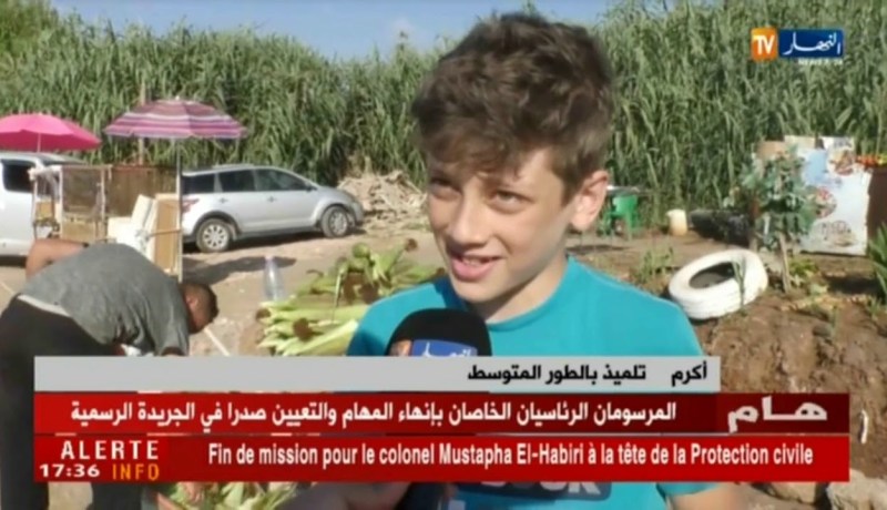 مجتمع: دخان شواء الذرة والسمان..هكذا يحترق شباب في سبيل لقمة العيش