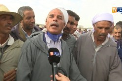 تجارة/ أسعار الأضاحي تتراجع مقارنة بالعام الماضي وركود في عملية البيع والشراء