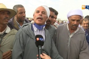 تجارة/ أسعار الأضاحي تتراجع مقارنة بالعام الماضي وركود في عملية البيع والشراء