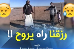 “غير يزيد يموت”..وباء غريب يقتل الرزق الوحيد لمربّي الماشية في النعامة !!!