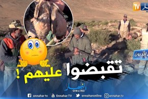 جزائريون: الصيد العشوائي.. خطر يهدد الثروة الحيوانية