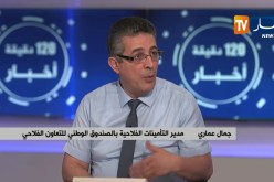 بسبب عدم تأمين الماشية والمحاصيل.. فلاحون يتكبدون خسائر بالملايير