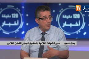 بسبب عدم تأمين الماشية والمحاصيل.. فلاحون يتكبدون خسائر بالملايير