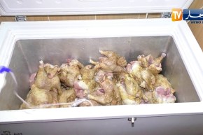 تجارة: محلات الأكل السريع.. تجاوزات بالجملة ومشاهد صادمة